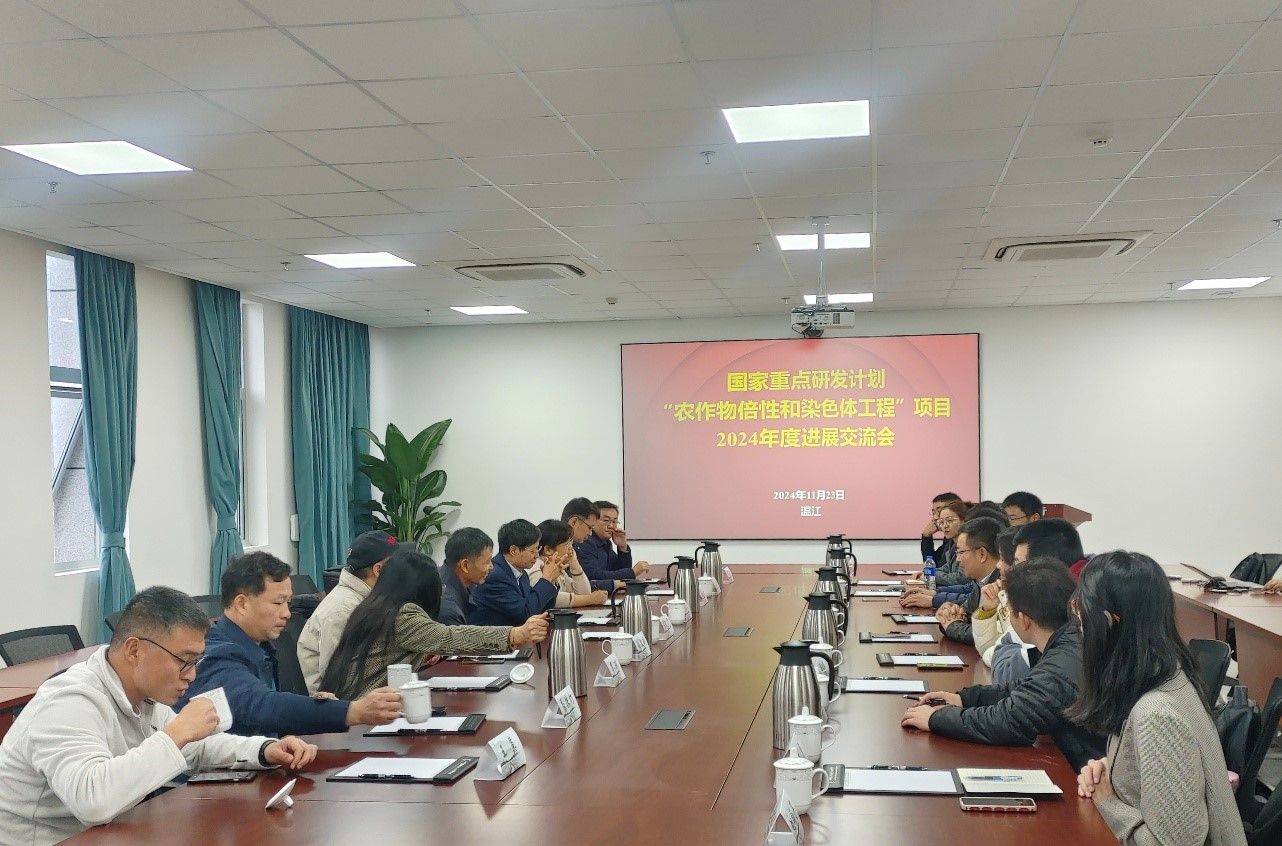 国家重点研发计划“农作物倍性和染色体工程”项目2024年度进展交流会在我校召开