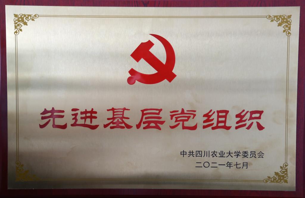 2021年度获