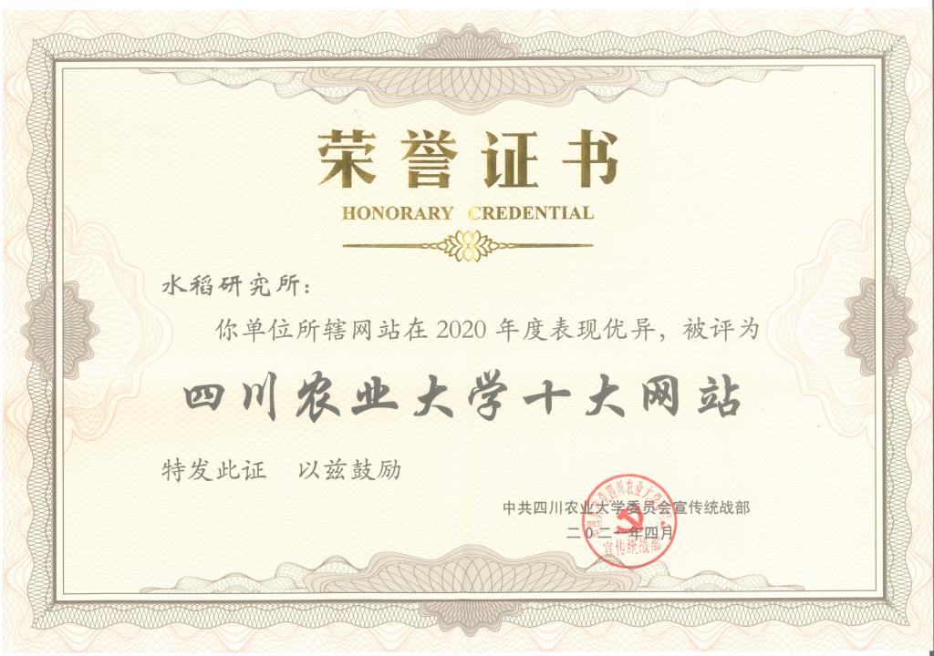 2020年度获“澳门太阳游戏网站官网版十大网站”荣誉