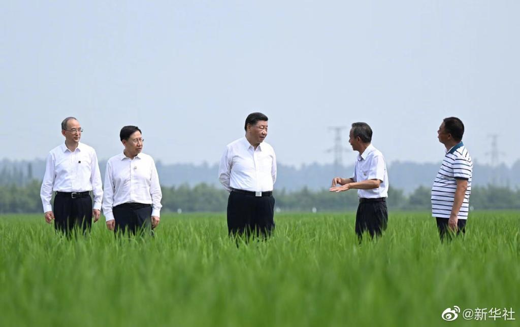 习近平总书记在眉山市考察我校水稻所核心示范基地
