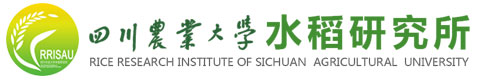 澳门太阳游戏网站官网版2020